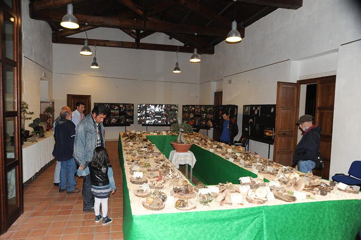 2Mostra Micologica Avola 13.11.2010 (106).JPG